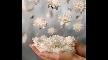 Честитпразник