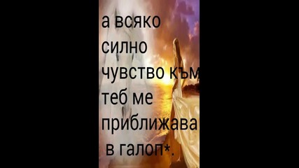 video_29_10_2014_01_00_38_p