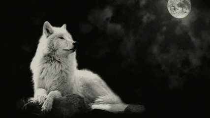 Winter Depression - В Асгарді Виє Вов (the Wolf Howls in Asg