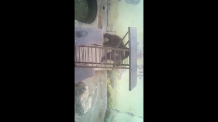 Vid_20141120_150159