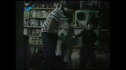 Българският филм Куче в чекмедже (част 3)