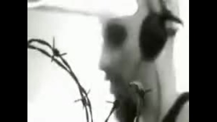 Cradle of Filth - Tonight in Flames 