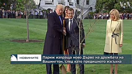 Президентът на Франция Еманюел Макрон изпраща ново Дърво на дружбата в Белия дом