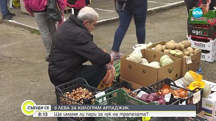 Рекордни цени на арпаджика