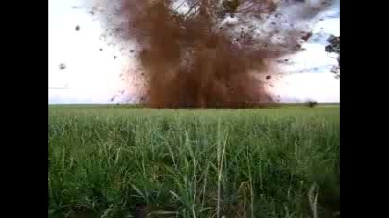 Избухващо Дърво