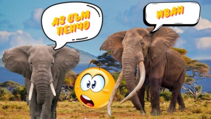 Слоновете се наричат един друг по име?! Учените в ШОК!
