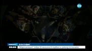 "Марсианецът" събра 55 милиона в първия си уикенд по кината