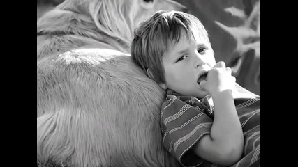 Faith Like A Child- Jars of Clay