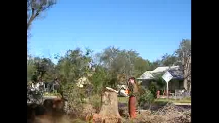Stihl Ms660
