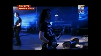 Gojira - Flying Whales (live at Garorock Festival 2009) 