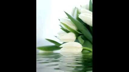 Rod Stewart - For Sentimental Reasons 