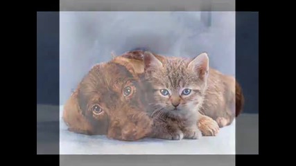 Kenny G - Endless Love 