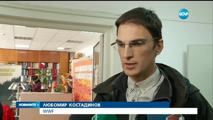 Без консенсус за съдбата на ски зона Банско