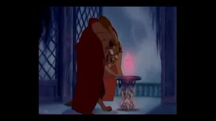 The Reason - Beauty And The Beast
