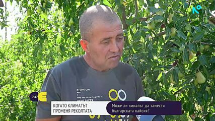 Хинапът – възможна алтернатива на традиционните плодове в Североизточна България