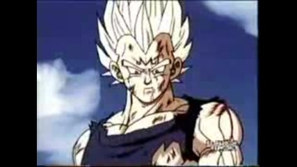 Dragonball Z - Set Aside the Pride 