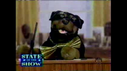 Triumph The Insult Comic Dog - White House 