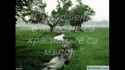 qki misli.wmv 