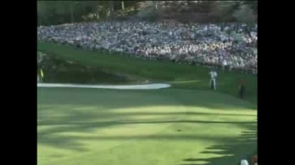 Tiger Wood Golf Phenomenom