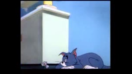 Tom & Jerry - Диплома 