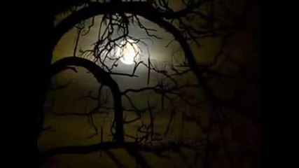 Moonlight Sonata (beethoven