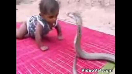 Най - безстрашното бебе си играе със змия 