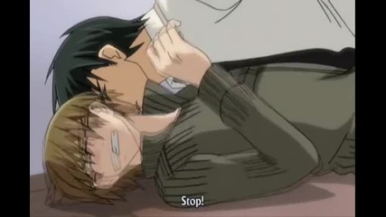 Junjou Romantica's yaoi Entertainment (love)