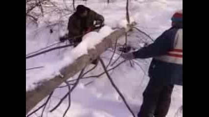 Stihl
