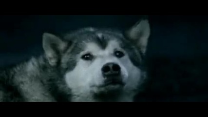 James Morrison - Please Don't Stop The Rain