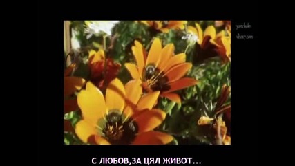 Страхотно Гръцко Парче [превод] С любов от мен за теб / Anna Vissi - Me agapi apo mena gia sena-1986