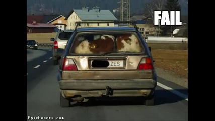 Toтални Провали!