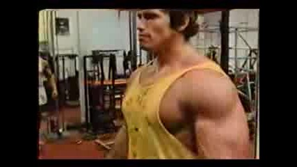 Arnold Schwarzenegger - Dumbell Fly