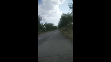 Vid_20230818_102828.mp4