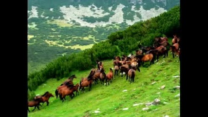 България има всичкo - Bulgaria has it all 