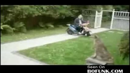 Жена кара скутер