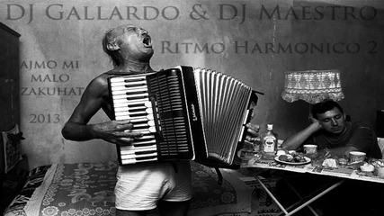 Dj Gallardo & Dj Maestro - Ritmo Harmonico 2 ( Radio Edit 2013)