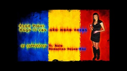 Esad Plavi - Koga li ces ako mene neces (dj cappuccino ft. Nole Romanian House Rmx).wmv