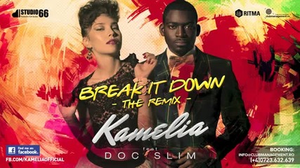 (2013) Kamelia feat. Doc Slim - Break It Down (remix)