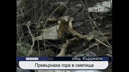 Превърнаха гора в сметище