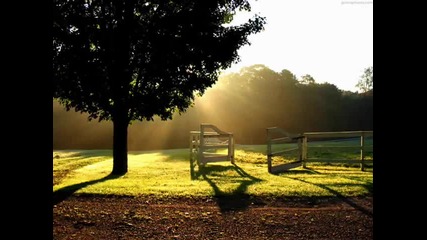 Enya - The Memory of Trees