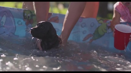 Красотата на природата: кученца