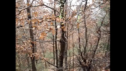Mov00010 