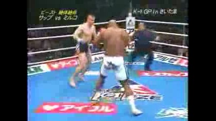 Mirko Cro Cop vs Bob Sapp 