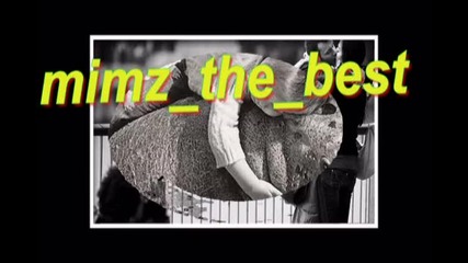 by mimz the best