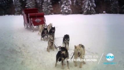 Забавен следобед с филмите в събота по NOVA