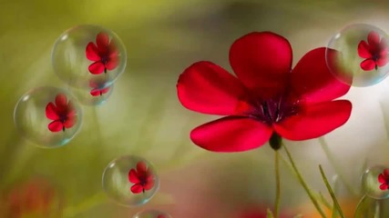 ✿ Аромат на пролет - планетата на цветята! ... ... ( Giovanni Marradi music) ... ...✿