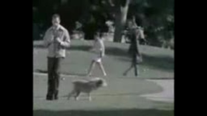 Vid 8f38842144fc495c8ffce674e08cf2c7
