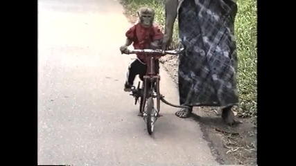 Маймунка кара колело в Шри Ланка! :)