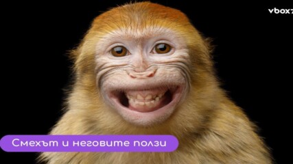 Невероятно! Установиха, че изкуственият смях лекува всичко?!😁💥