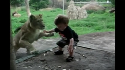 Деца атакувани от животни в зоопарка ( компилация )
